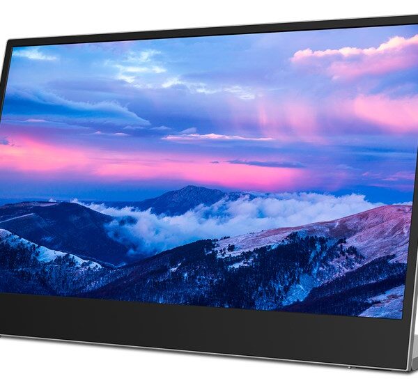 Lenovo L15 39.6 cm (15.6") 1920 x 1080 pixels Full HD LED Black, Grey