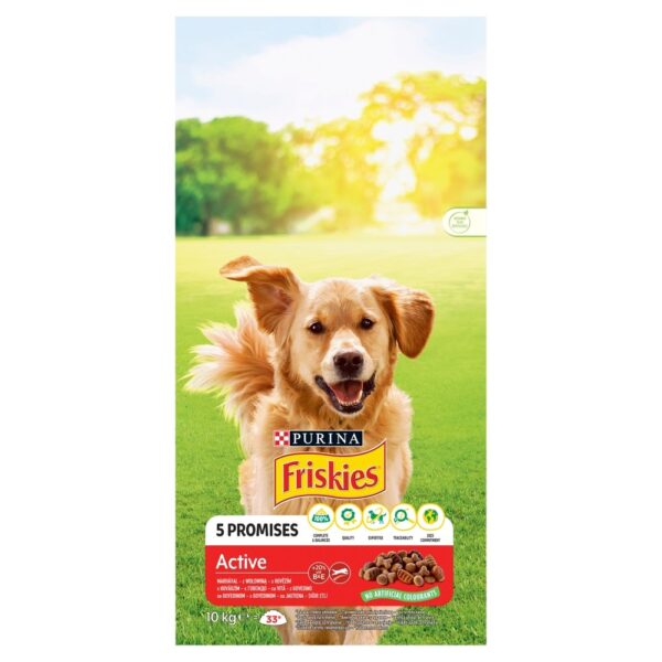 Purina Active 10kg