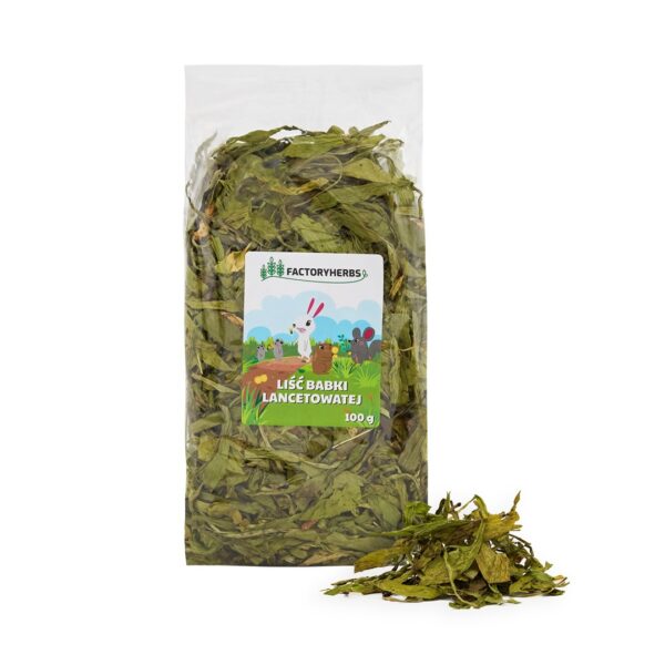 Factory Herbs Ribwort Plantain Leaves Treat Rodents Rabbits 100g