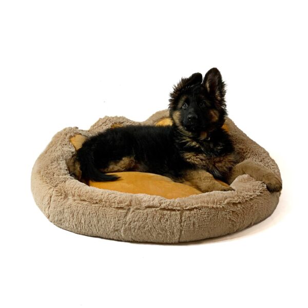 GO GIFT Dog and cat bed L - camel - 55x55 cm