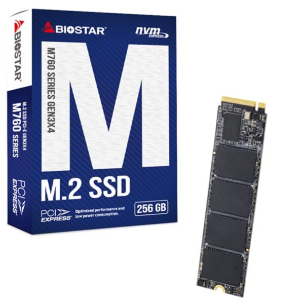 Biostar M760 256GB M.2
