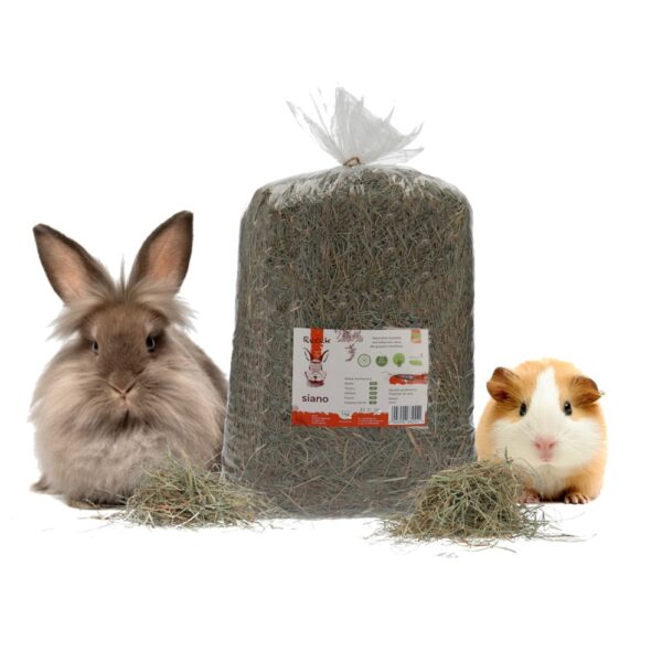 Recek Meadow Hay Rodents Hand-packed 1 Kg