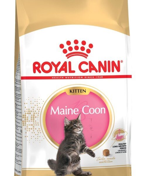 Royal Canin Maine Coon Kitten 0.4kg