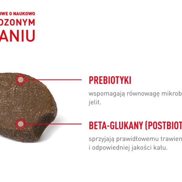 Royal Canin Συμπλήρωμα Διατροφής Σκύλου 160gr για Γαστρεντερικές Διαταραχές