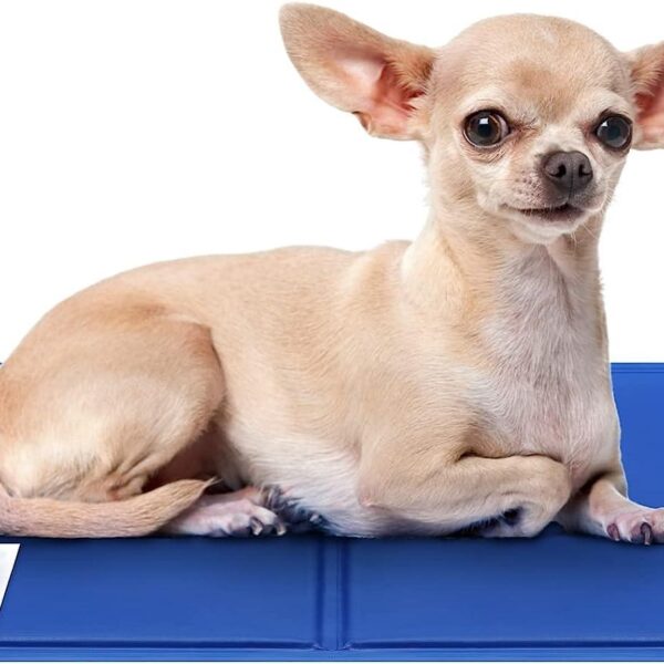 Στρώμα Σκύλου Μπλε 50x40εκ.