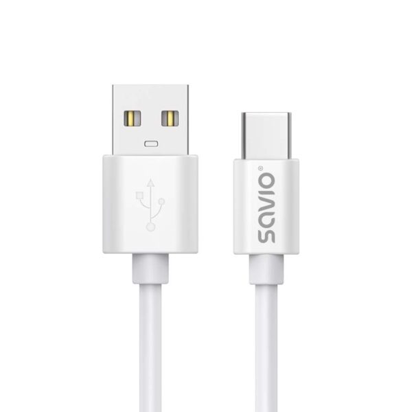 Savio USB 2.0 USB-C male - USB-A 2m (CL-168)