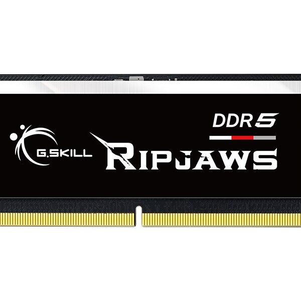 G.Skill Ripjaws 16GB DDR5