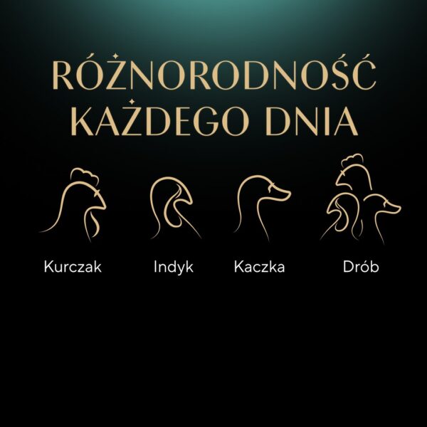 Sheba Υγρή Τροφή 40x85gr