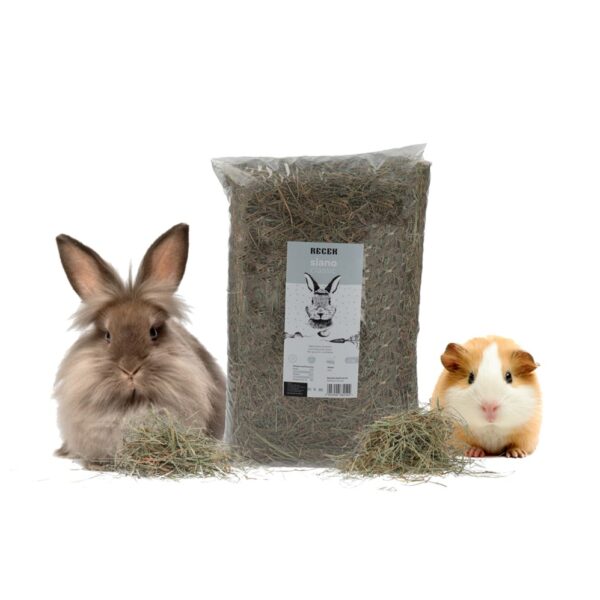 Recek Classic Hay Rodents 1.2 Kg