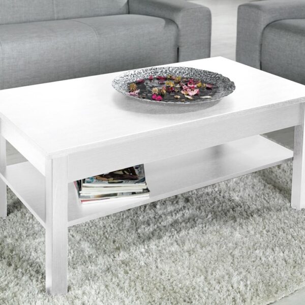 Cama coffee table UNI 110/60/47 white mat