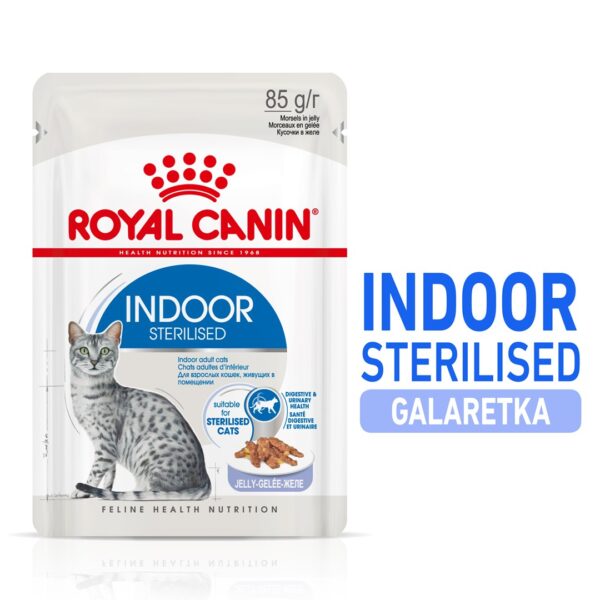 Royal Canin Indoor 85gr