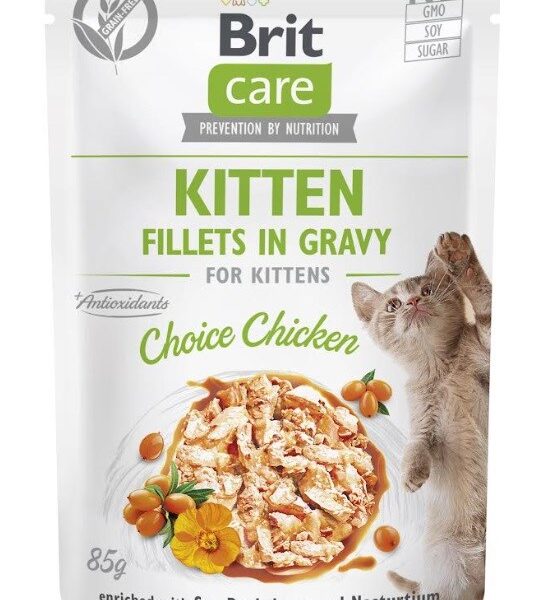 Brit Υγρή Τροφή 85gr