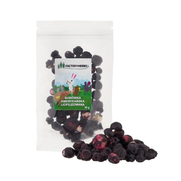 Factory Herbs Freeze-dried Blueberries Treat Rodents Rabbits 10g