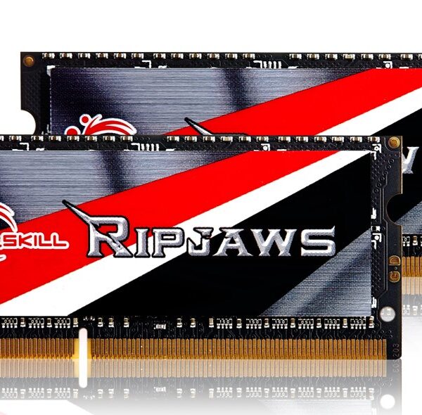 G.Skill 8GB DDR3 με 2 Modules (2x4GB) (F3-1600C9D-8GRSL)