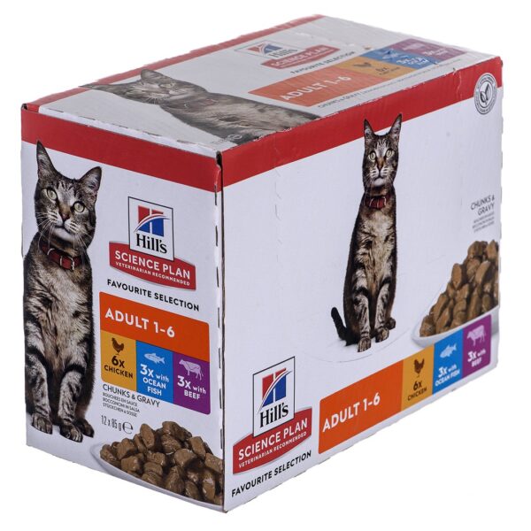 Hill's Feline 12x85gr