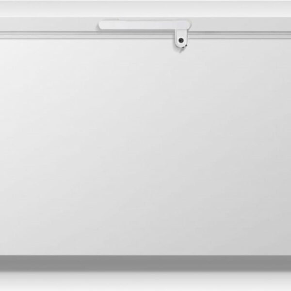 Gorenje Μπαούλο 500lt FH50EAW
