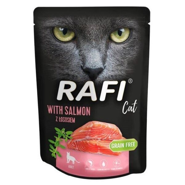 Dolina Noteci Rafi Cat Adult 300gr