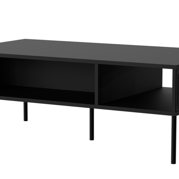 Cama PALAZZO BIS table/latrine 110x60x40 matte black