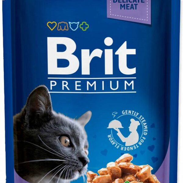 Brit Premium 100gr
