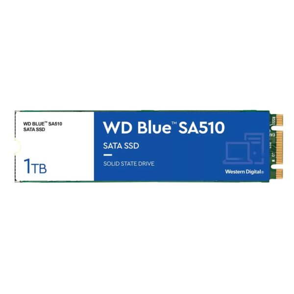 Western Digital Blue SA510 1TB M.2 WDS100T3B0B