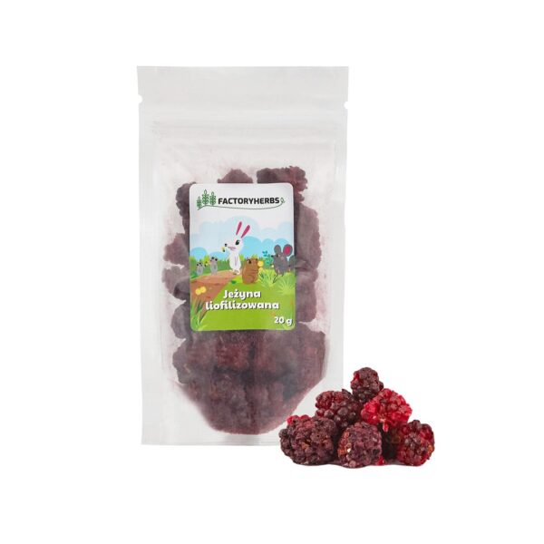 Factory Herbs Freeze-dried Blackberry Treat Rodents Rabbits 20g